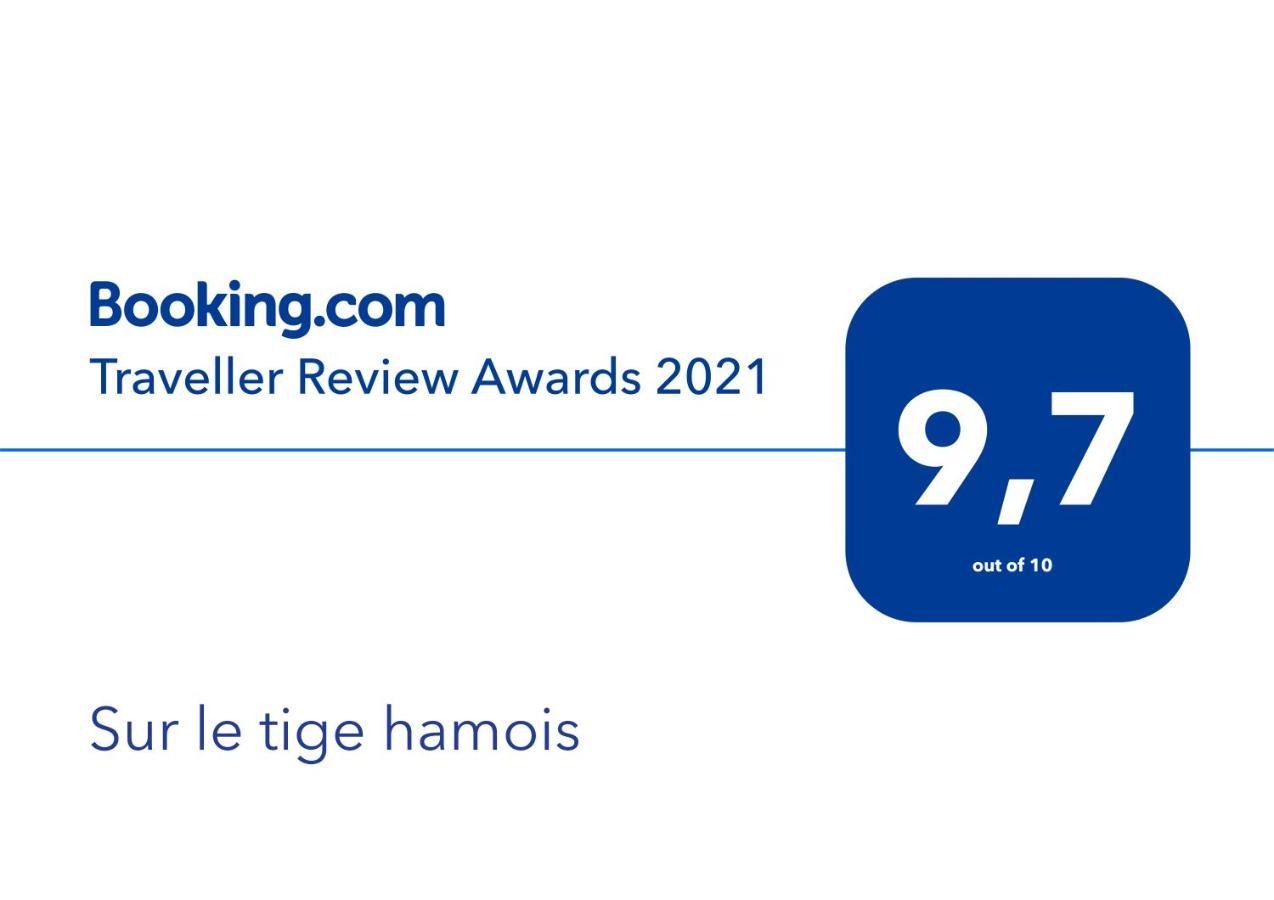 לינה וארוחת בוקר Sur Le Tige Hamois מראה חיצוני תמונה